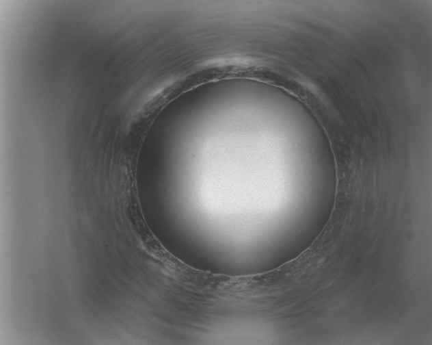 X0000059840967200511041808