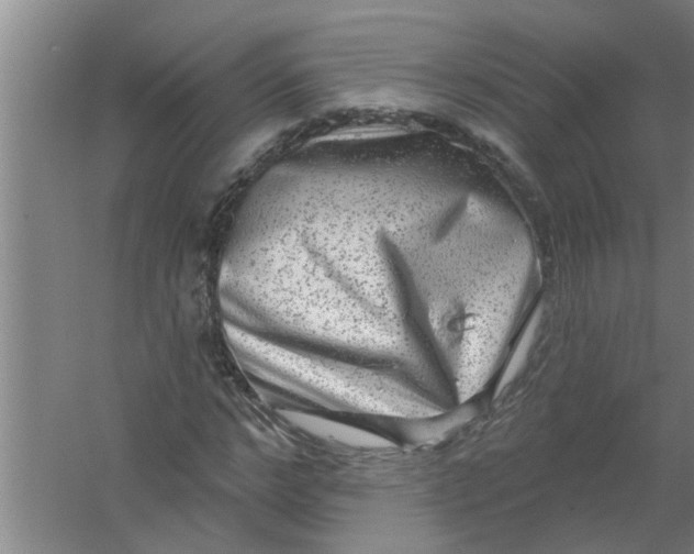 X0000059840968200511041808