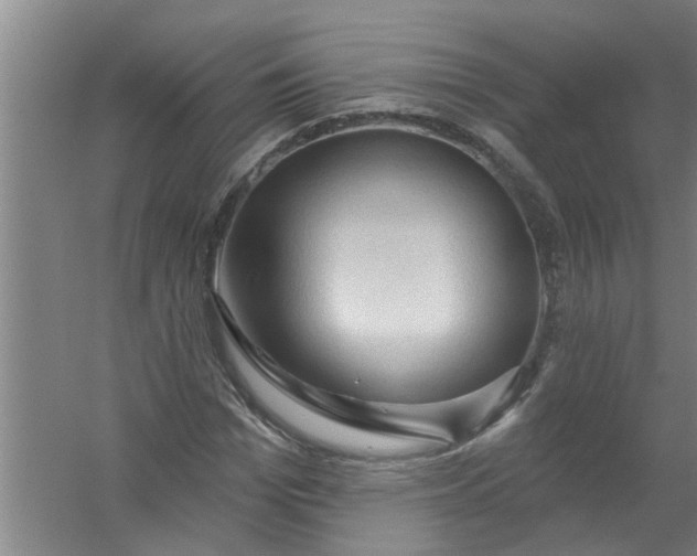 X0000059840969200511041808