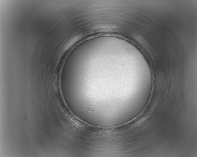 X0000059840970200511041808