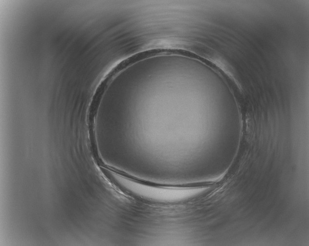 X0000059840972200511041808