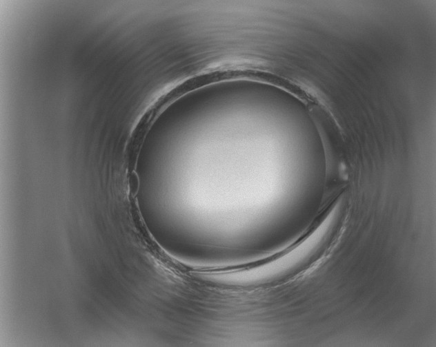 X0000059840973200511041808