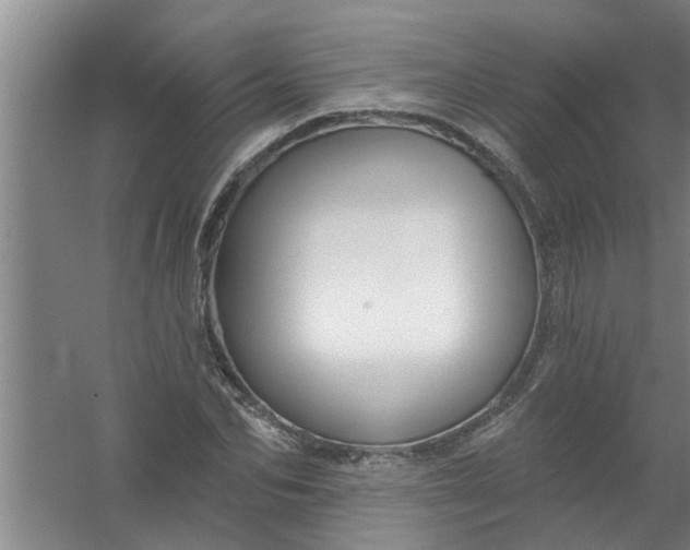 X0000059840974200511041808