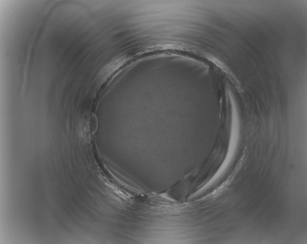 X0000059840977200511041808