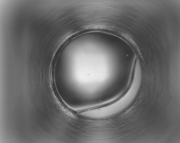 X0000059840984200511041808