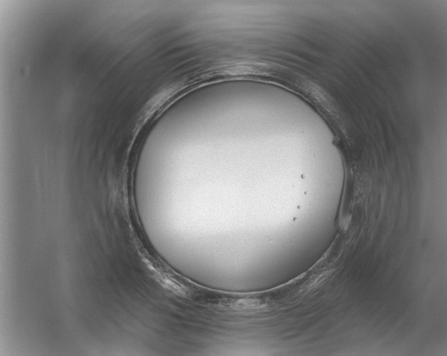 X0000059840986200511041808