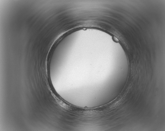 X0000059840988200511041808