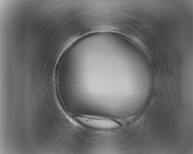 X0000059840990200511041808