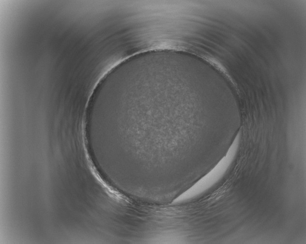 X0000059840991200511041808