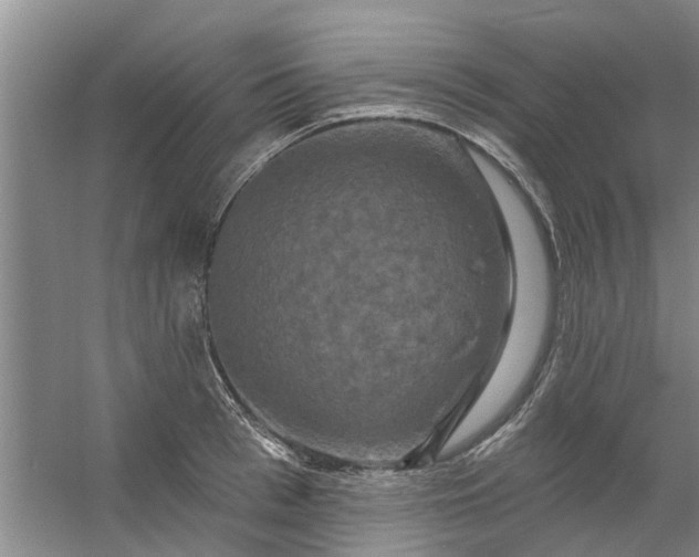 X0000059840993200511041808