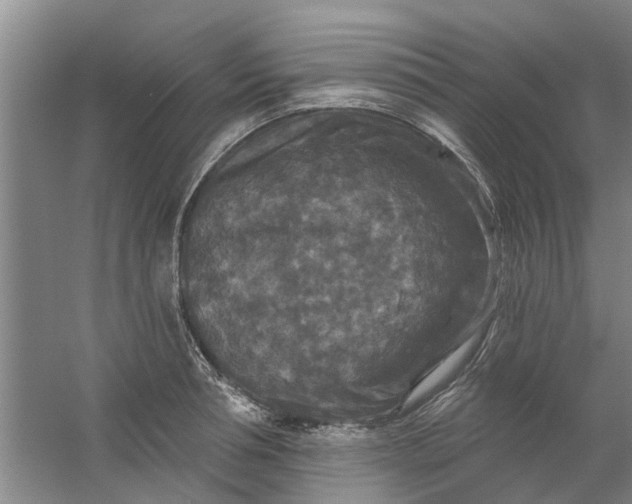 X0000059840994200511041808