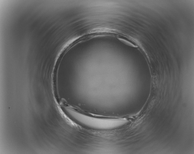 X0000059840995200511041808