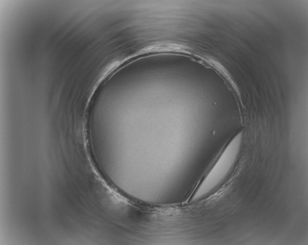 X0000059840997200511041808