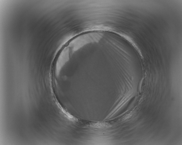 X0000059840998200511041808