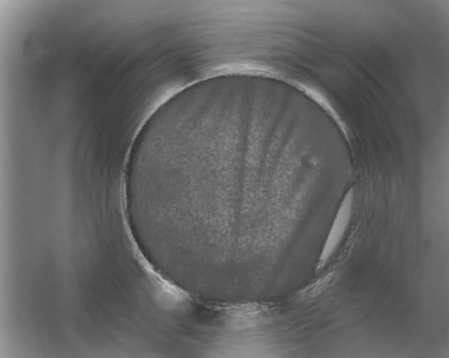 X0000059840999200511041808