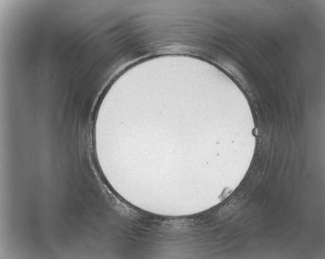 X0000059841000200511041808