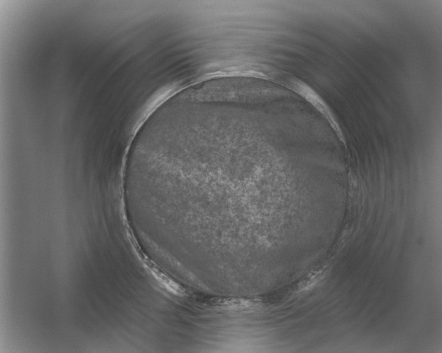 X0000059841002200511041808