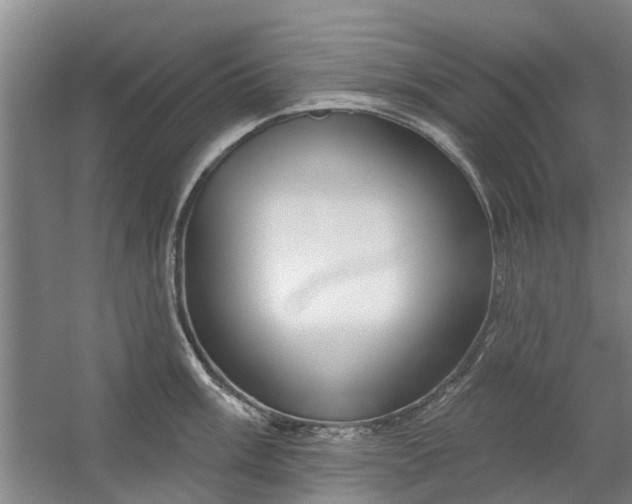 X0000059841003200511041808