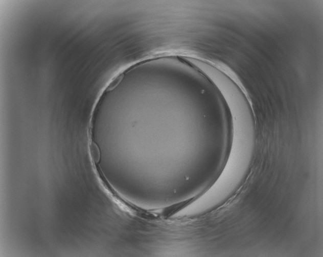 X0000059841005200511041808