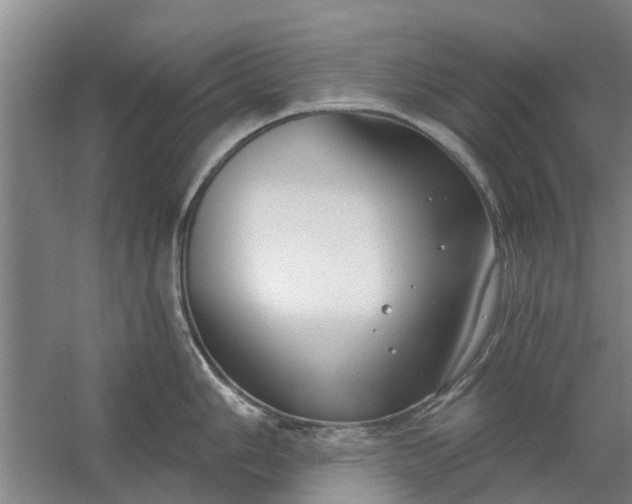 X0000059841006200511041808