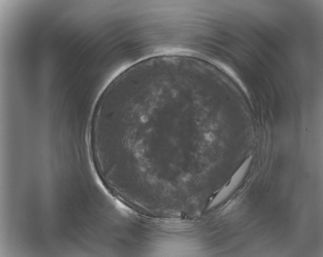 X0000059841007200511041808