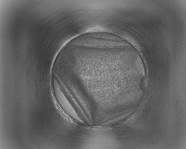 X0000059841008200511041808