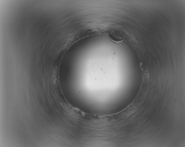 X0000059841012200511041807