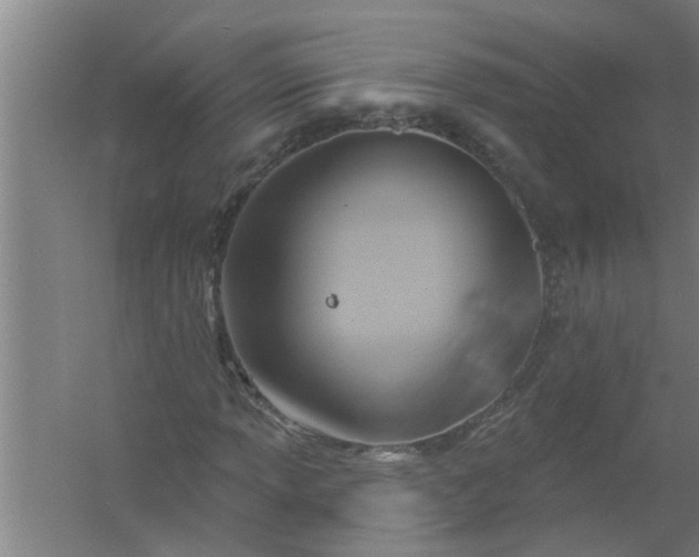 X0000059841013200511041807