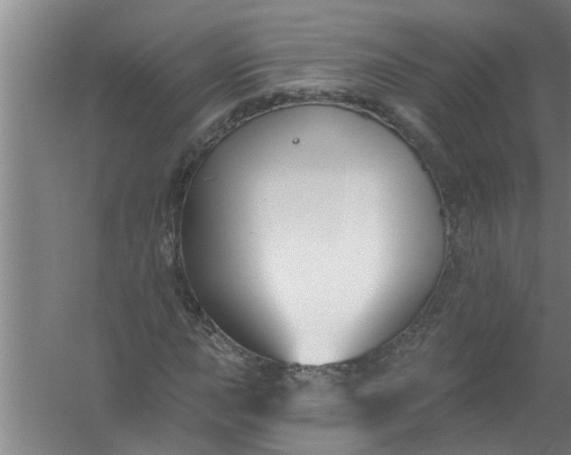 X0000059841015200511041807