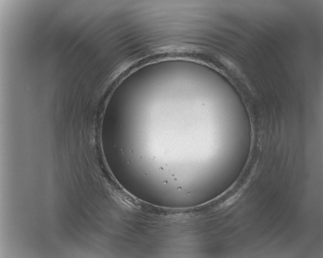 X0000059841017200511041807