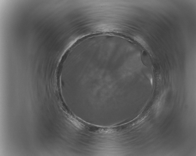 X0000059841023200511041807