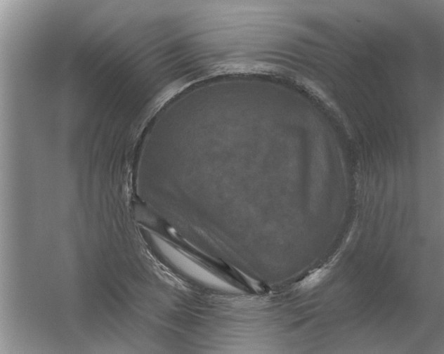 X0000059841025200511041807