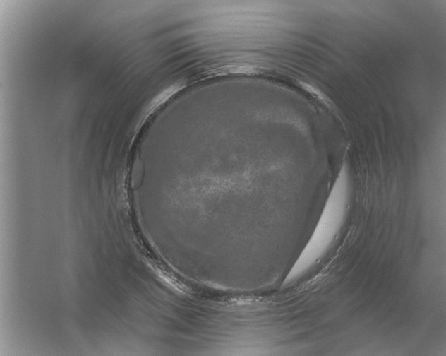 X0000059841026200511041807