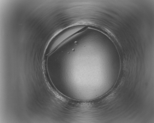 X0000059841029200511041807