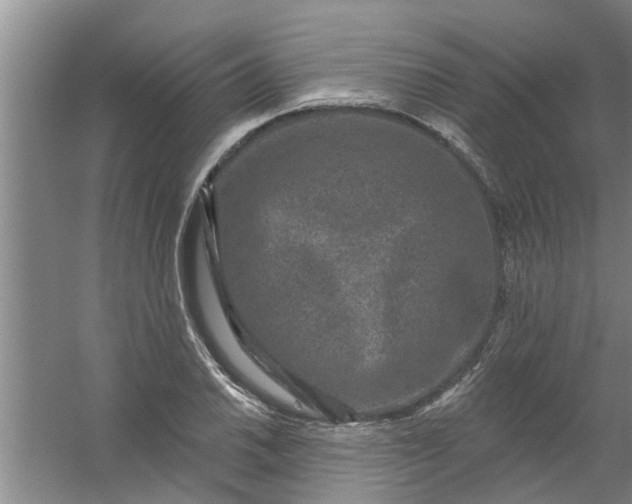 X0000059841030200511041807