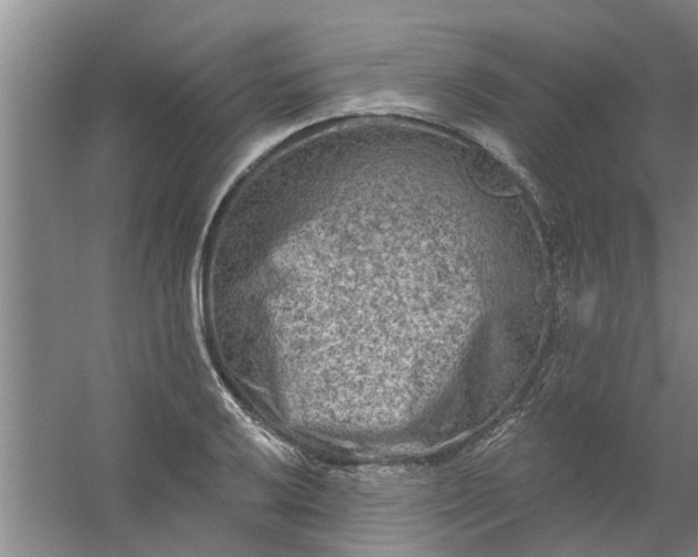 X0000059841032200511041807