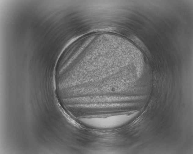 X0000059841036200511041807