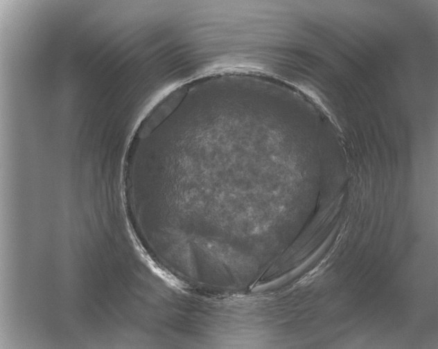 X0000059841038200511041807