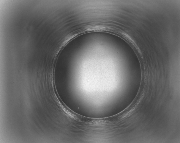 X0000059841041200511041808