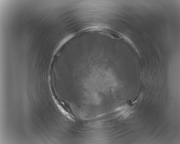 X0000059841042200511041808