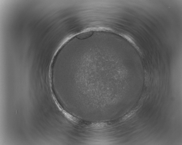 X0000059841046200511041808