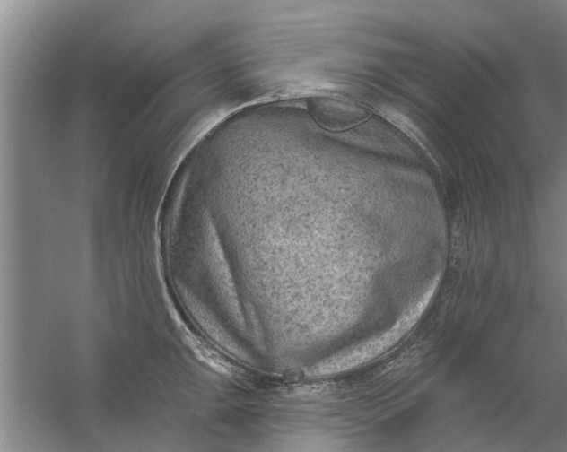 X0000059841047200511041808