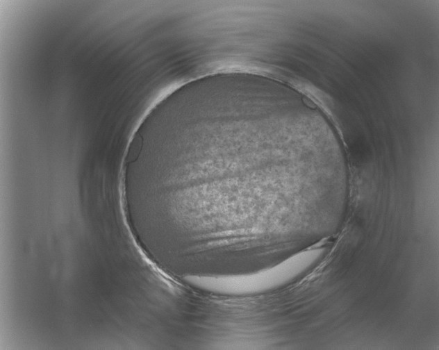 X0000059841048200511041808