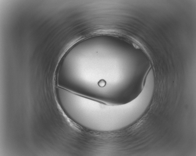 X0000059841050200511041808