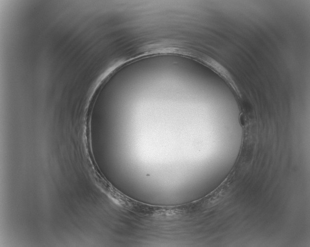 X0000059841051200511041808