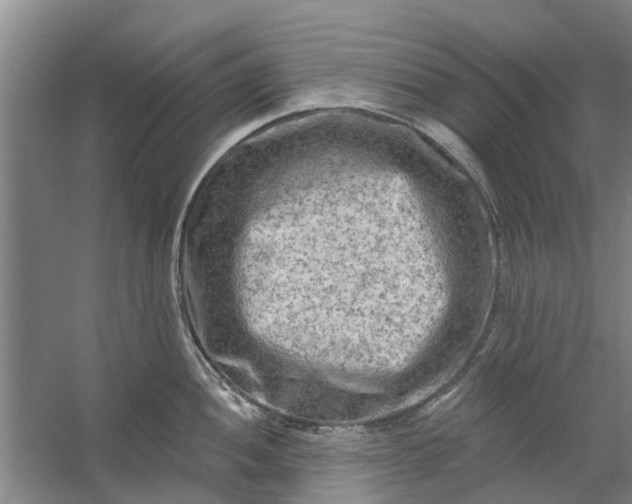 X0000059841052200511041808