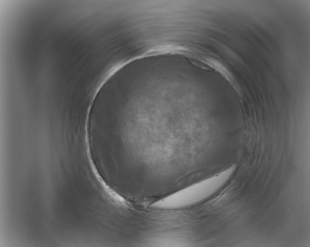 X0000059841055200511041808