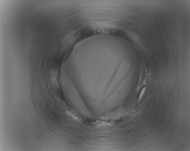 X0000059841060200511041807