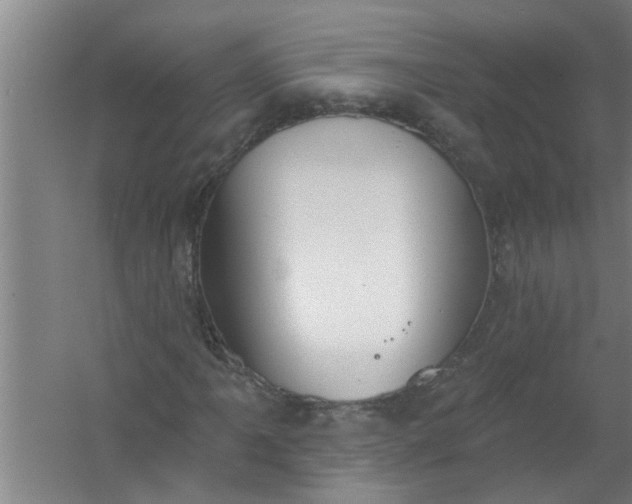 X0000059841061200511041807