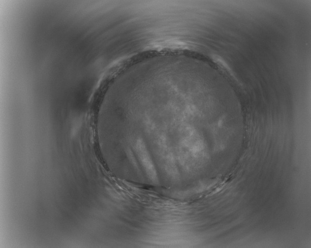 X0000059841063200511041807